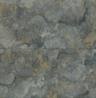 Dutch First Class Arber DL26734 Grijs / Goud Behang