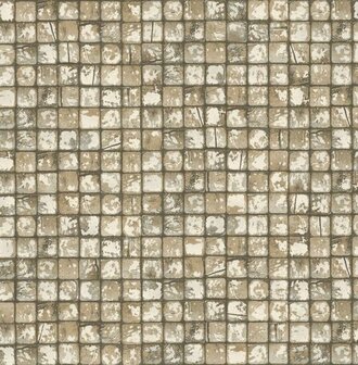 Dutch First Class Arber DL26757 Beige Behang