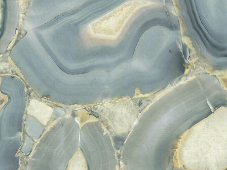 Dutch First Class Carrara Best 85655 Multicolours Behang