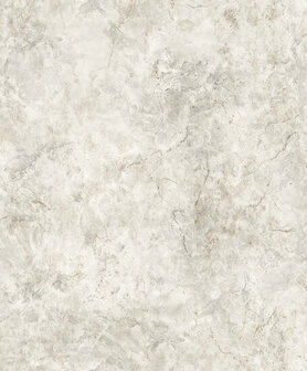 Dutch Wallcoverings Brut M785-17 Beige Behang