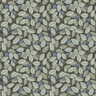 Dutch First Class Midbec Klara &amp; Tove 26028 Bruin / Groen / Blauw Behang