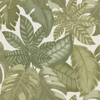 Noordwand Thai 26415 Groen Behang