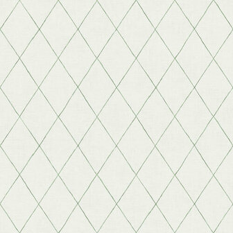Dutch First Class Midbec Morgongava 27003 - Groen Behang