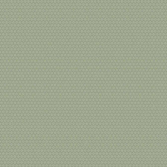 Dutch First Class Midbec Morgongava 27030 - Groen Behang