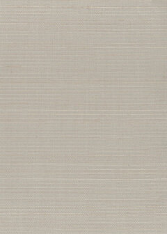 Greenland Natural Palette N168NA0112 - Abaca - Zilver Behang