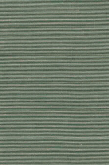Greenland Natural Palette N168NA2027 - Abaca - Groen Behang