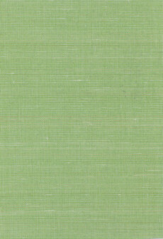 Greenland Natural Palette N168NA2081 - Abaca Groen Behang