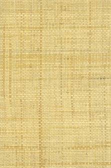 Greenland Natural Palette N168NG5002 - Raffia - Goud Behang