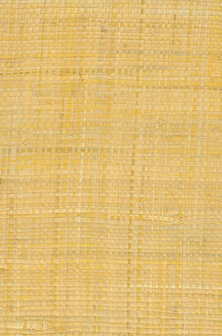 Greenland Natural Palette N168NG5024 - Raffia - Geel Behang