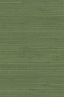 Greenland Natural Palette N168NH1041 - Hennep - Groen Behang
