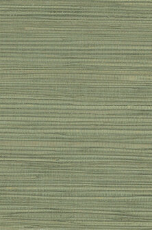 Greenland Natural Palette N168NH1043 - Hennep - Groen Behang