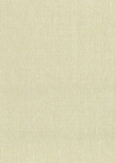 Greenland Natural Palette N168NP6001 - Paper Weave - Beige Behang