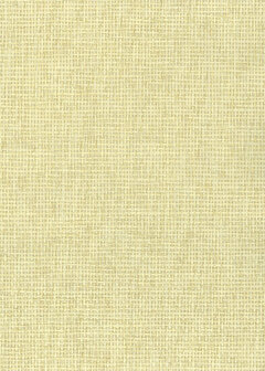 Greenland Natural Palette N168NP6102 - Paper Weave - Cr&egrave;me Behang