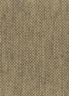 Greenland Natural Palette N168NP6158 - Paper Weave - Bruin Behang