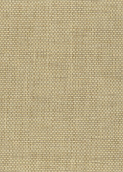 Greenland Natural Palette N168NP6284 - Paper Weave Beige Behang