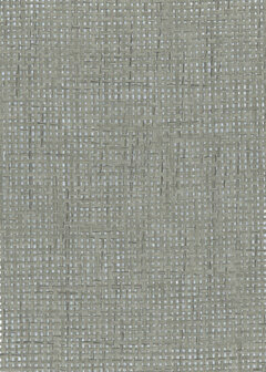 Greenland Natural Palette N168NP6537 - Paper Weave - Zilver / Grijs Behang
