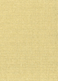 Greenland Natural Palette N168NP6602 - Paper Weave - Beige Behang