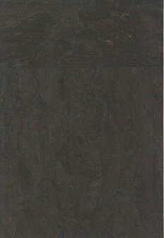 Greenland Natural Palette N168NQ8317 - Kurk - Bruin Behang