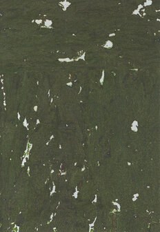 Greenland Natural Palette N168NQ8313 - Kurk - Groen Behang