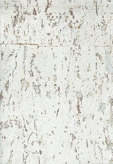 Greenland Natural Palette N168NQ8310 - Kurk - Wit Behang