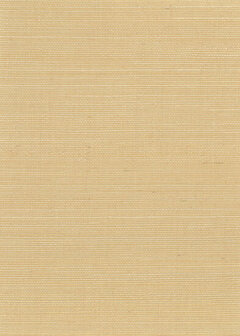 Greenland Natural Palette N168NS1039 - Sisal Geel Behang