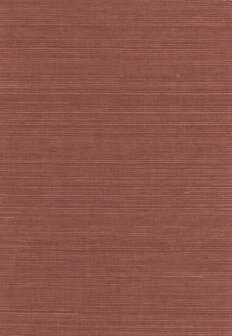 Greenland Natural Palette N168NS1015 - Sisal Rood Behang