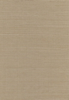 Greenland Natural Palette N168NS1107 - Sisal Beige Behang