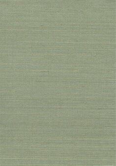Greenland Natural Palette N168NS1129 - Sisal - Groen Behang