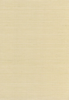Greenland Natural Palette N168NS2016 - Sisal - Beige Behang