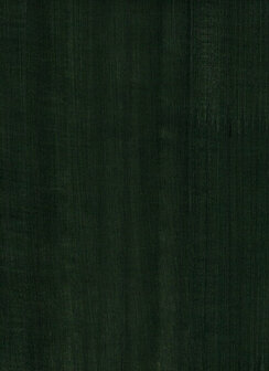 Greenland Natural Palette N168NV1021 - Hout fineer - Bruin Behang