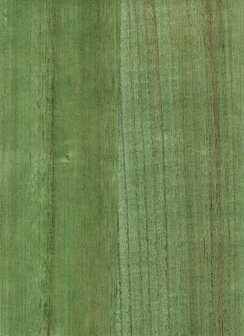 Greenland Natural Palette N168NV1024 - Hout fineer - Groen Behang