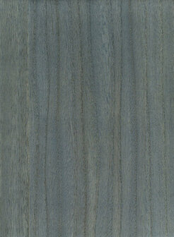 Greenland Natural Palette N168NV1038 - Hout fineer Blauw Behang