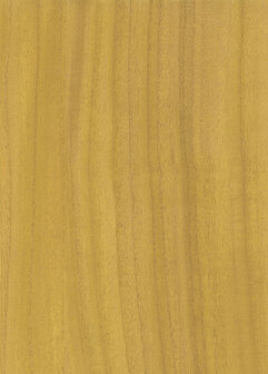 Greenland Natural Palette N168NV1041 - Hout fineer - Geel Behang