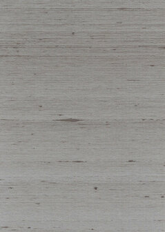 Greenland Natural Palette N168TF3389 - Zijde - Zilver / Grijs Behang