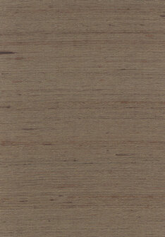 Greenland Natural Palette N168TF3473 - Zijde - Bruin Behang