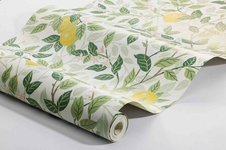 Bor&aring;stapeter Orangeri Citrontr&auml;d 5702 Behang