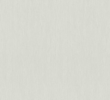 HookedOnWalls Passe Partout Tone on Tone PLAIN 4405 Behang