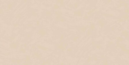 HookedOnWalls Passe Partout Tone on Tone TADELAKT PLAIN 4422 Behang