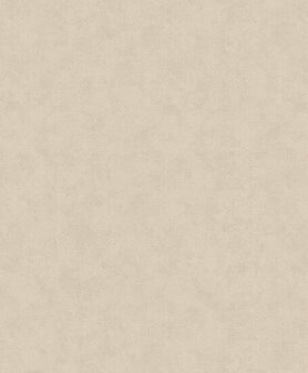 HookedOnWalls Passe Partout Tone on Tone SHADES 4460 Behang