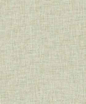 HookedOnWalls Passe Partout Tone on Tone 4563 Behang