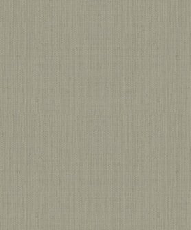 HookedOnWalls Passe Partout Tone on Tone 4572 Behang