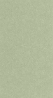Caselio Azur AZU105247740 - Groen Behang