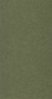 Caselio Azur AZU105257024 - Groen Behang