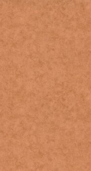 Caselio Color Box 3 CB3101483434 - Oranje Behang