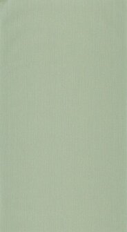 Caselio Color Box 3 CB3101577099 - Groen Behang
