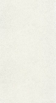 Caselio Color Box 3 CB3101730099 - Wit Behang