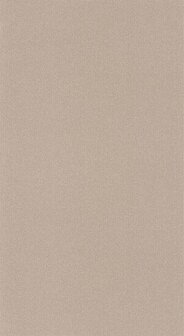 Caselio Color Box 3 CB3102221679 - Beige Behang