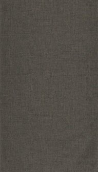 Caselio Color Box 3 CB3103239130 - Zwart Behang