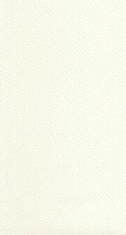 Caselio Color Box 3 CB3103731015 - Wit / Goud Behang