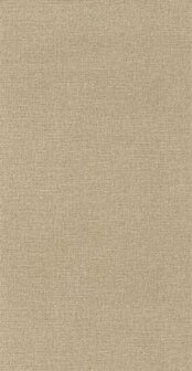 Caselio Color Box 3 CB3104012220 - Beige Behang